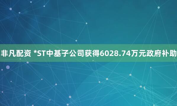 非凡配资 *ST中基子公司获得6028.74万元政府补助